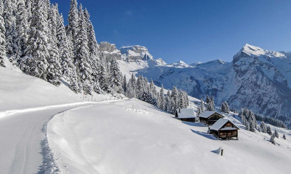 Alpenclub Hotel Engelberg Eksteriør billede
